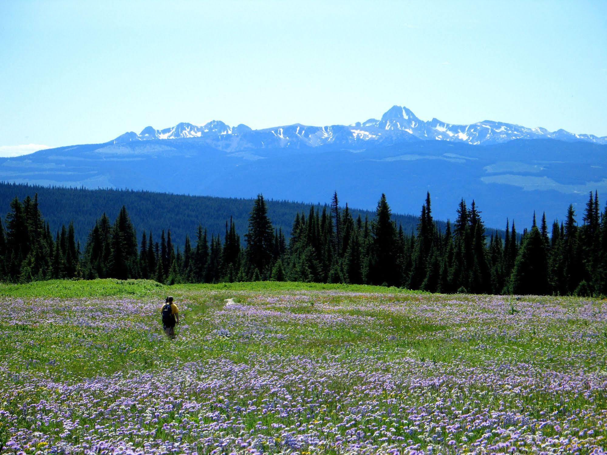 Wells Gray Guest Ranch Hotel Clearwater Exterior foto
